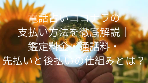 電話占いココナラ　支払い方法